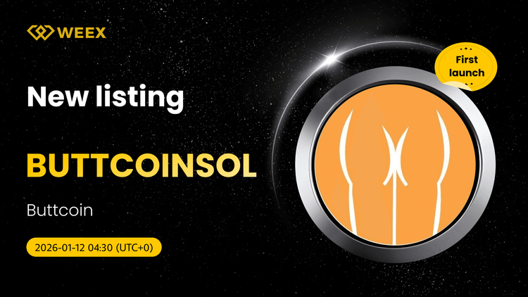 BUTTCOINSOL USDT 立即在WEEX现货实盘交易
