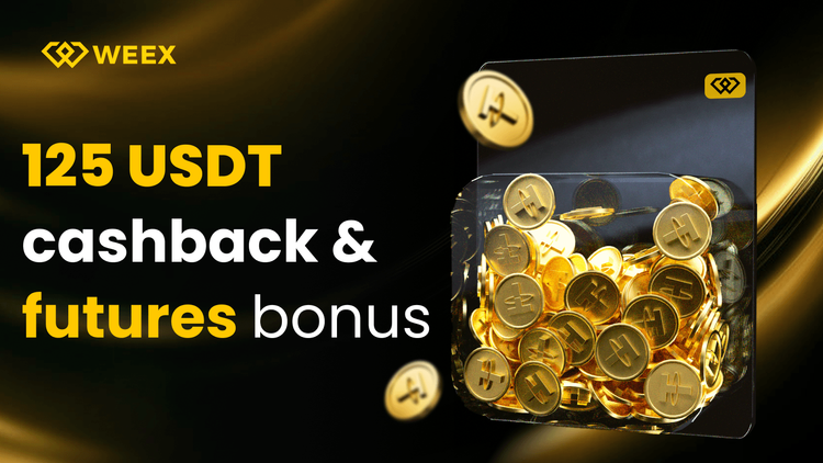 Buy USDT with USD/EUR on WEEX for Zero Fees & Cashback