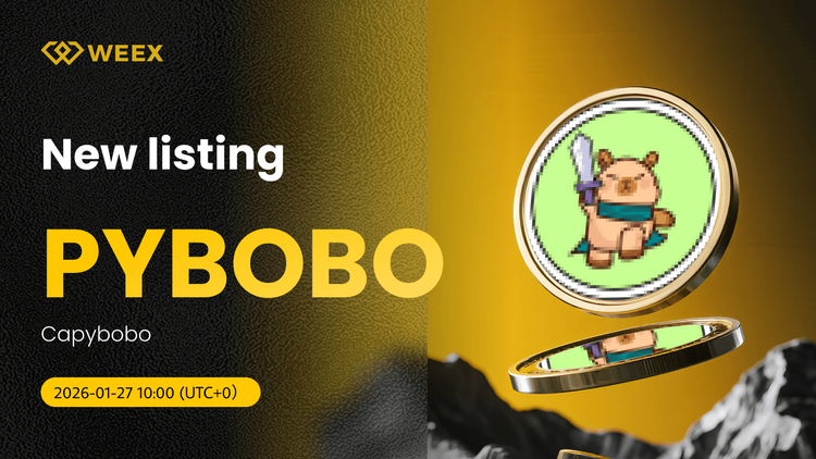 PYBOBO USDT Now Live: Capybobo (PYBOBO) Coin Listed on WEEX
