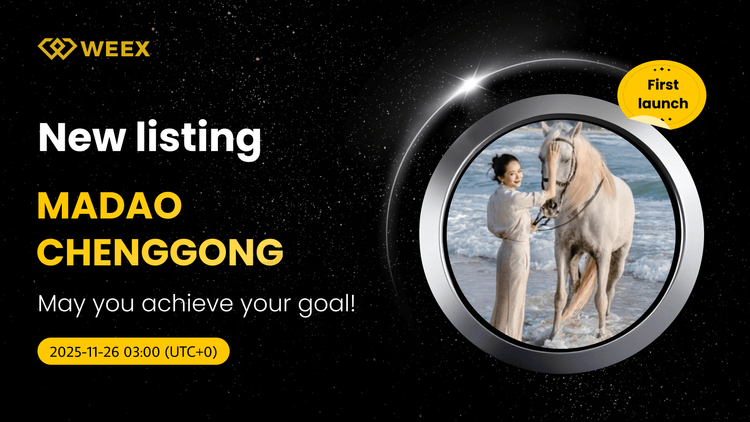 MADAOCHENGGONG USDT 现货交易对上线 WEEX 交易所