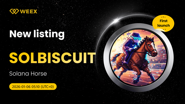 SOLBISCUIT USDT实盘: 索拉纳马币在WEEX上市