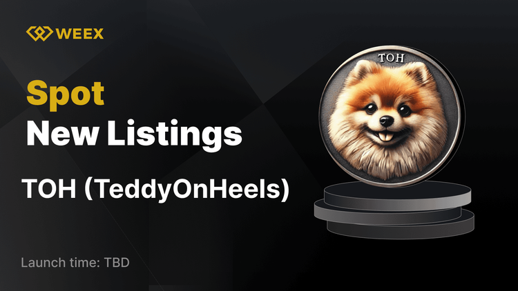TeddyOnHeels (TOH) 现已在 WEEX 上市，TOH USDT 交易对开始交易