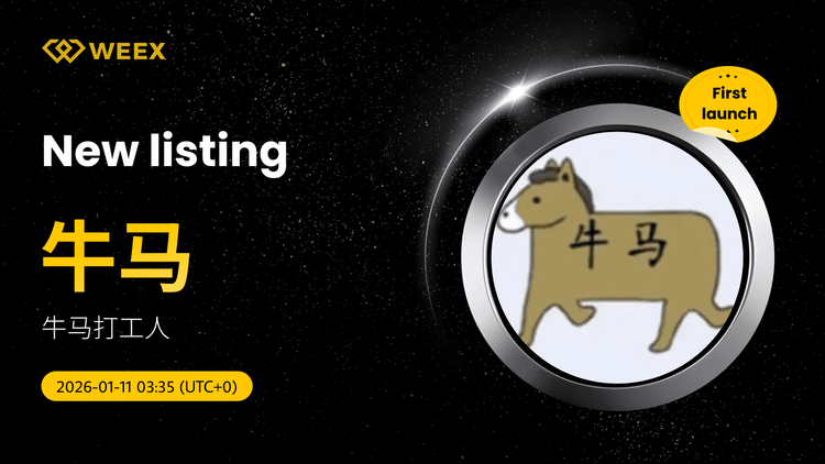 牛马USDT交易: WEEX上的牛马(牛马)硬币列表